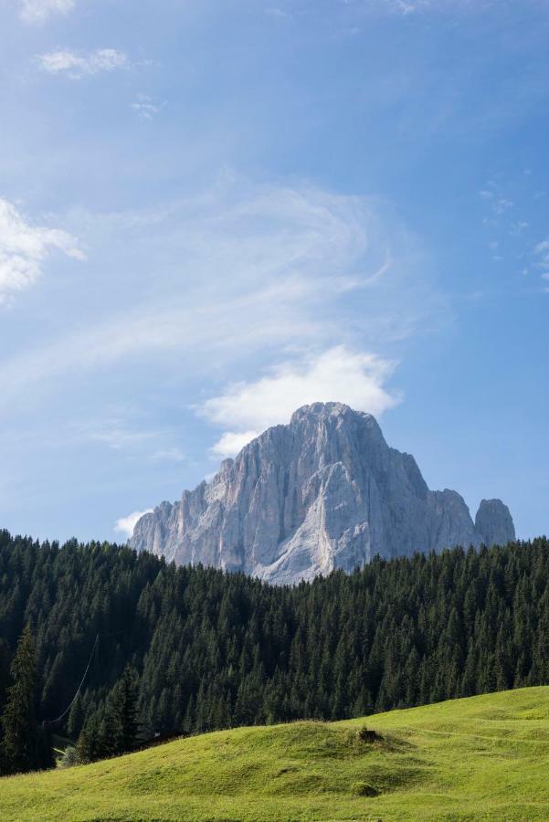 Villa Insam Selva di Val Gardena Exterior photo